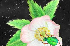 Afficheeglantine