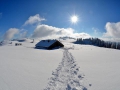 La-piste-des-raquettes