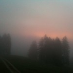 Brouillard matinal