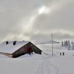 Brumes hivernales