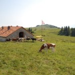 La loge en été