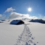 La piste des raquettes