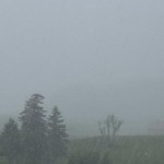 Tempête de neige